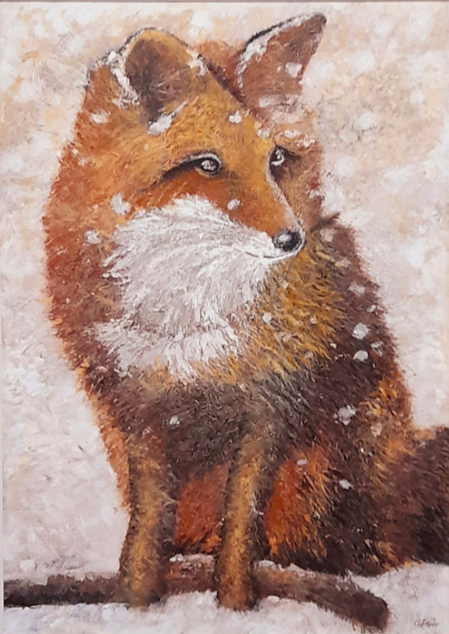 Fox in snow