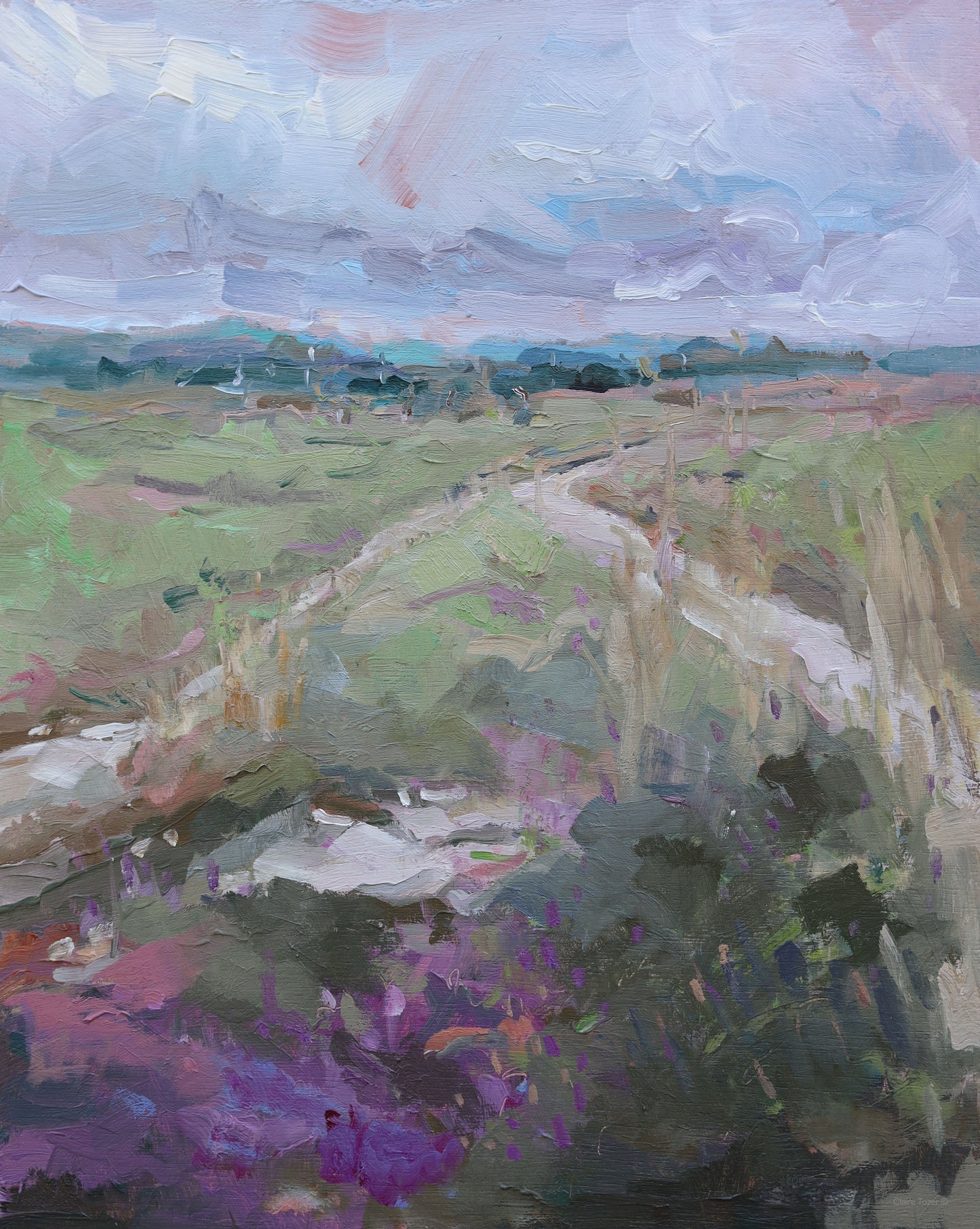 Claire Tozer :Purple across the heath