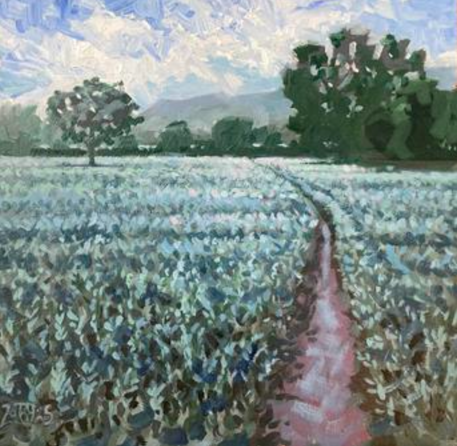 Rob Adams :Green Barley