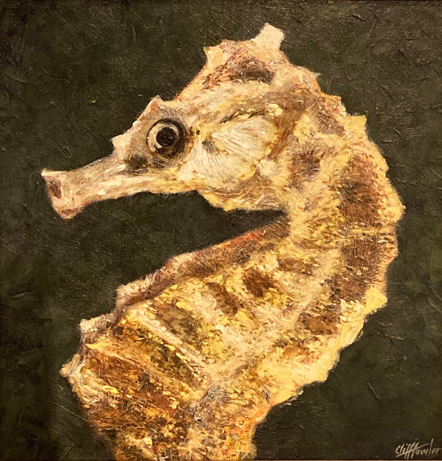 Short-snouted Seahorse in Studland Bay