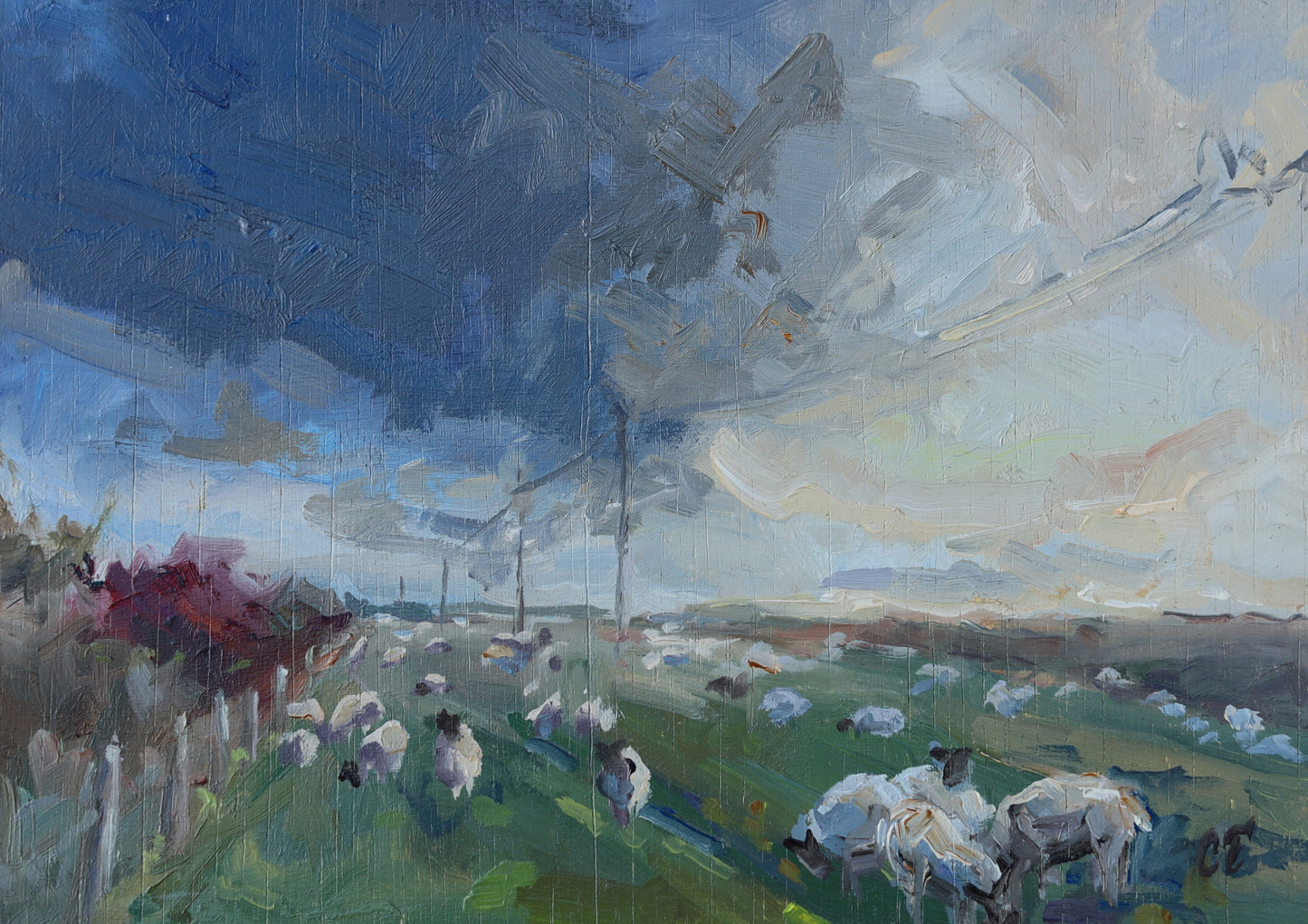 Claire Tozer :Sundown Sheep