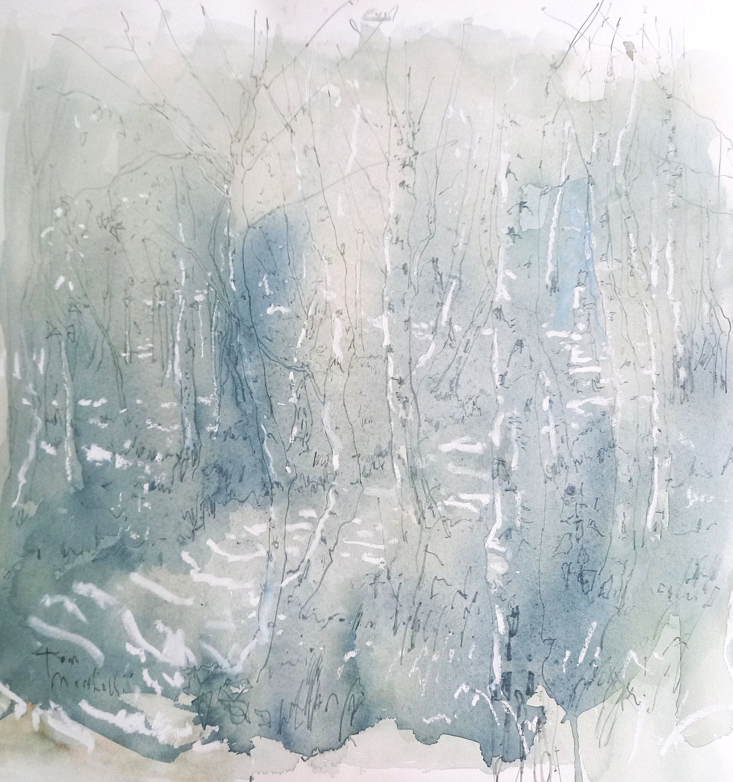 Tom Marshall- Pathways Among the Silver Birch Trees