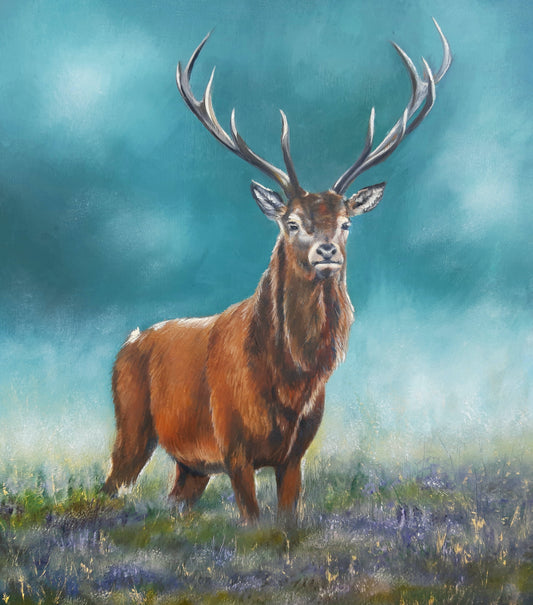 Steve the Stag