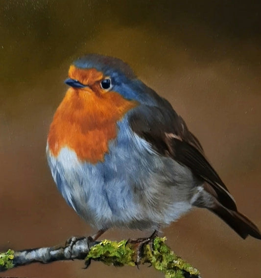 Rodney the Robin