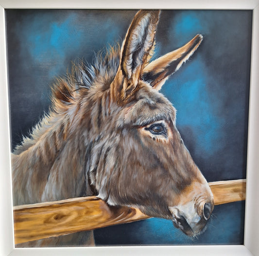 Copper the Donkey