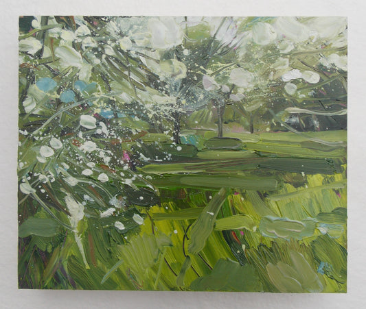 Apple Orchard Blossom