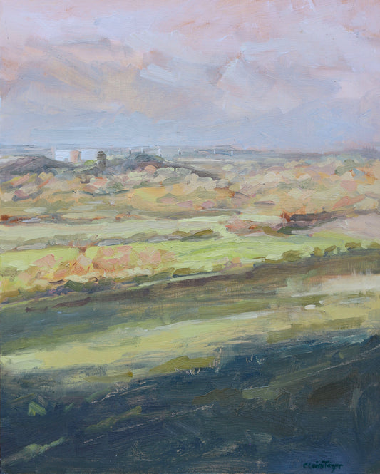 Claire Tozer : Evening light towards Winfrith Heath