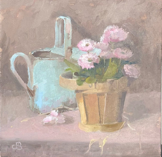 Bellis in a Basket