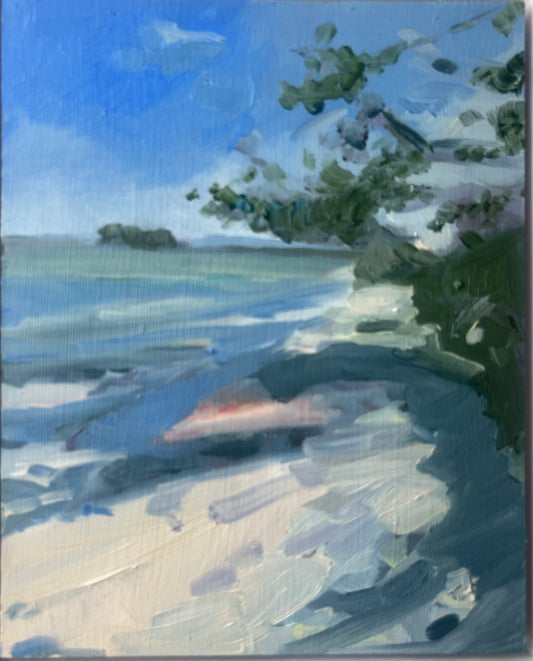 Arne Beach