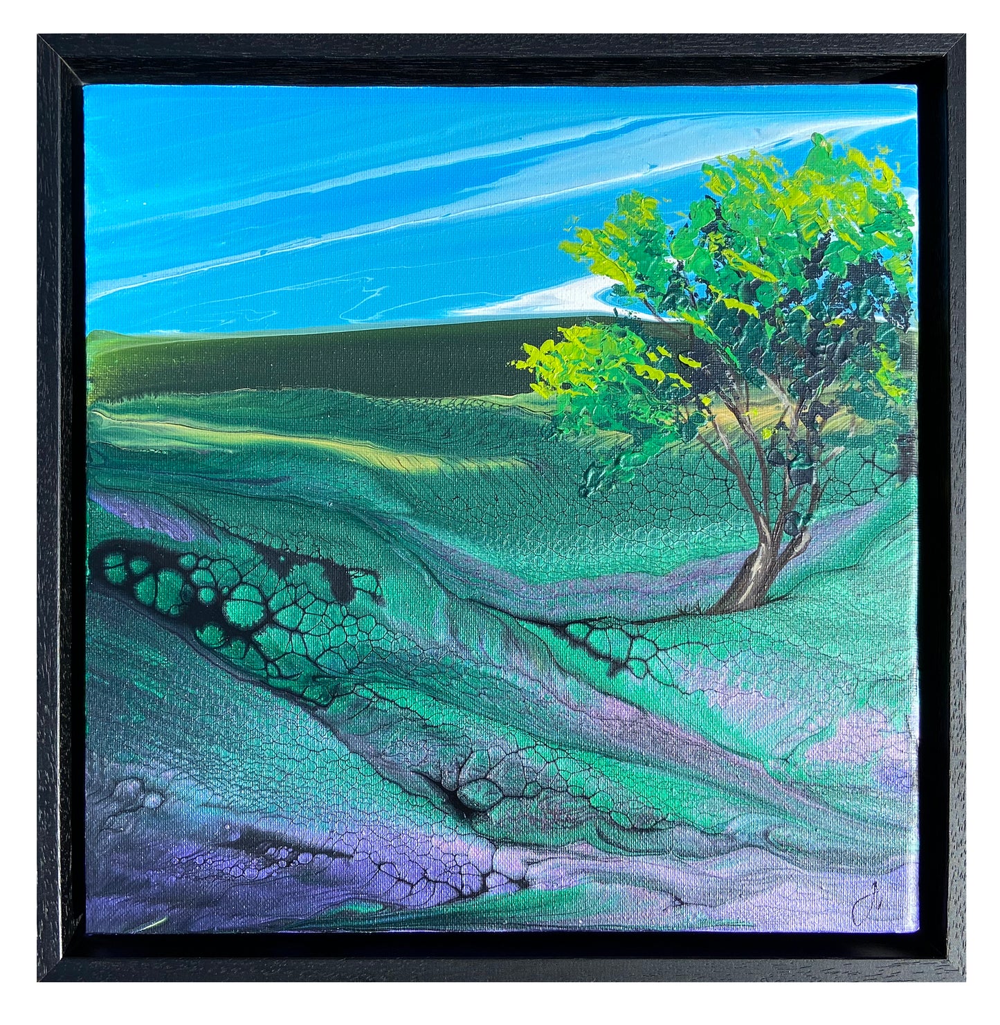Lavender Fields 1