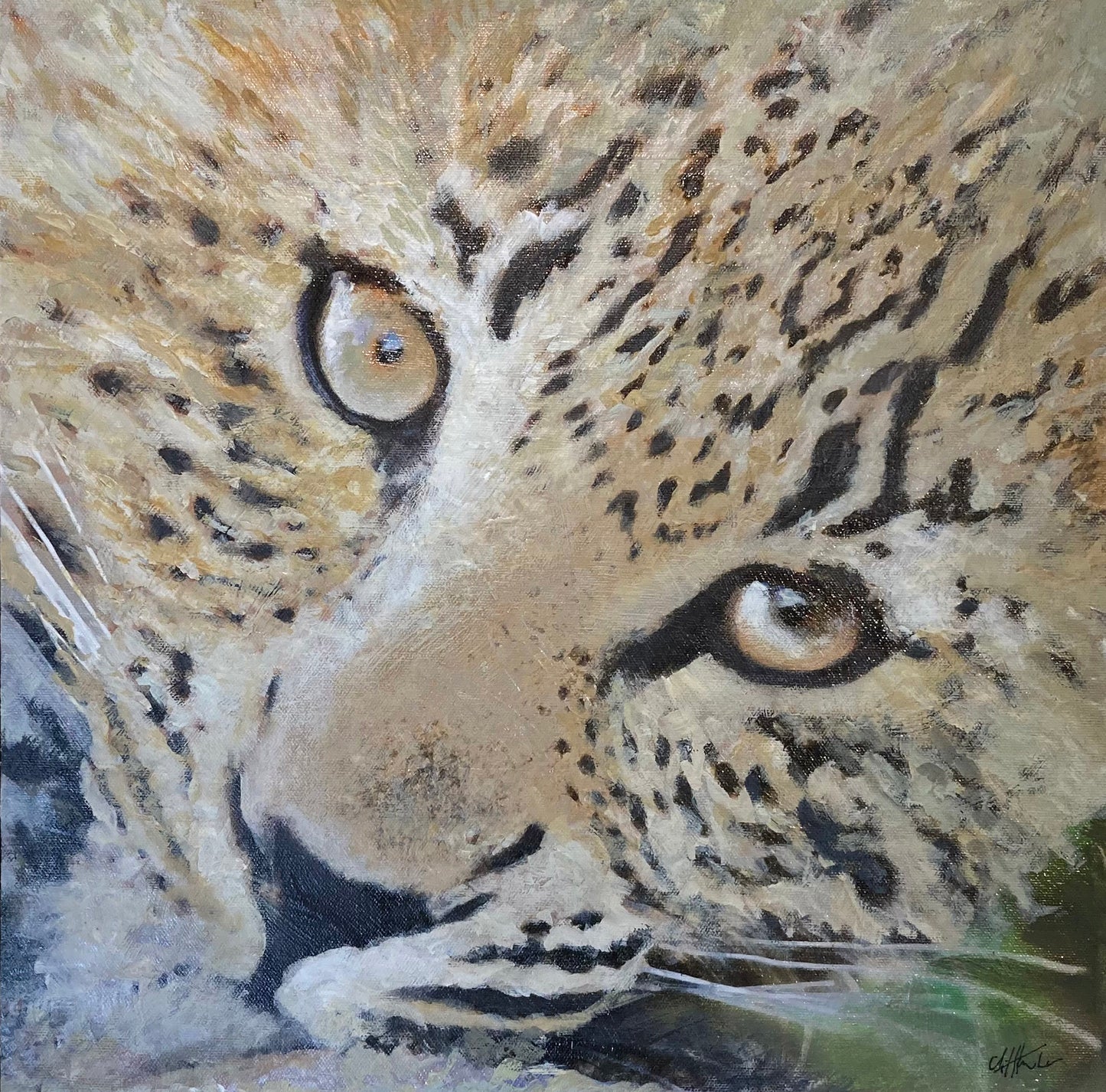 Leopard