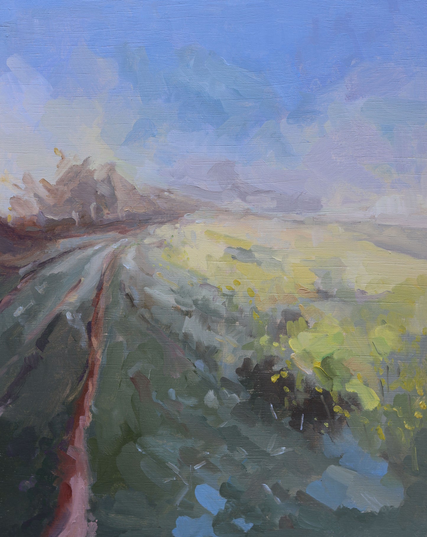 Claire Tozer :Mist on the path to Five Marys