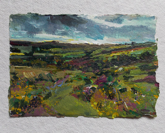 Moorland View