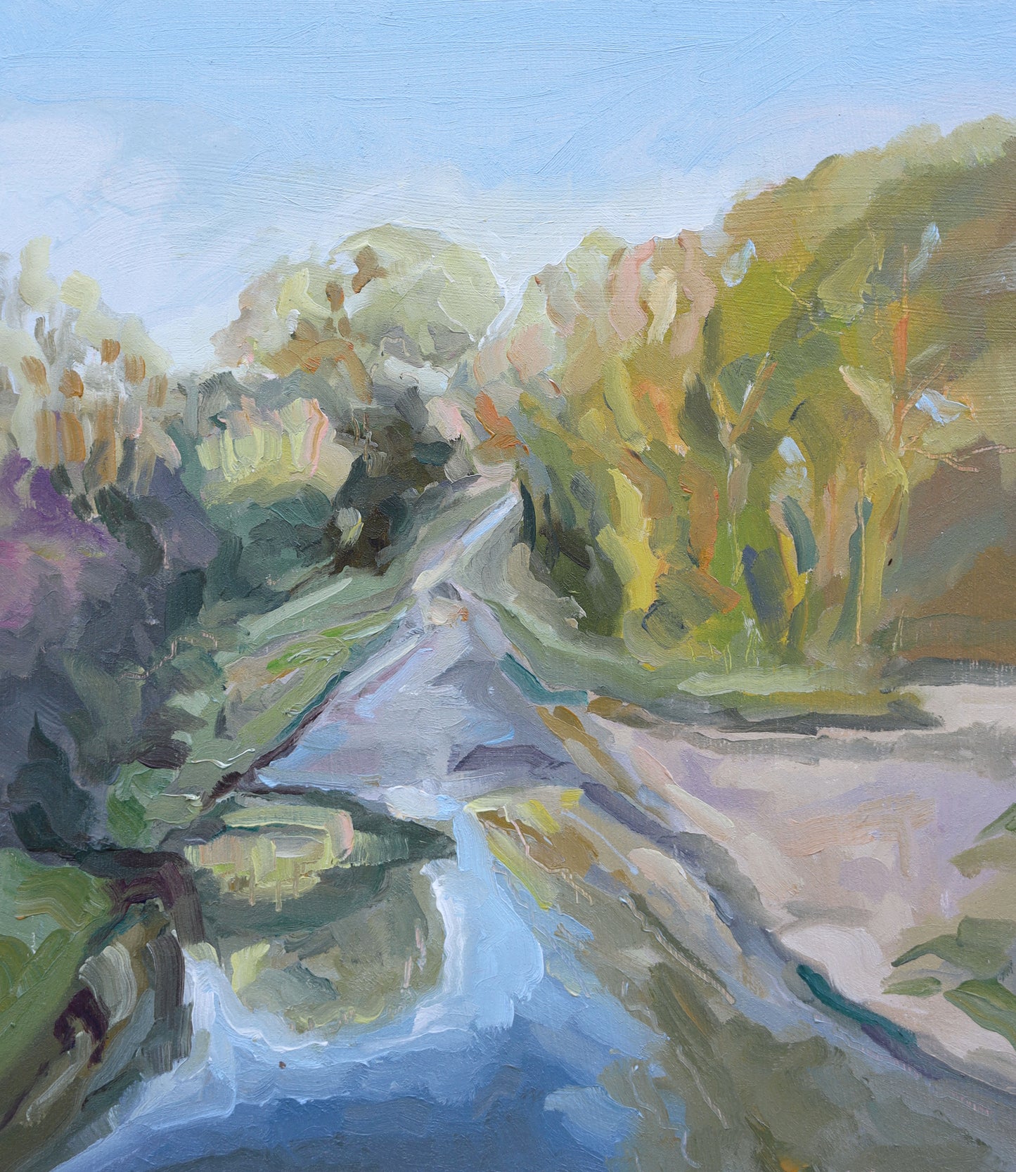 Claire Tozer : Puddles on the road