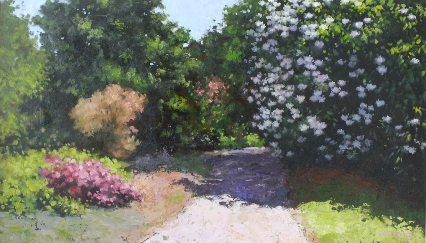 Ian Hargreaves- Rhododendrons