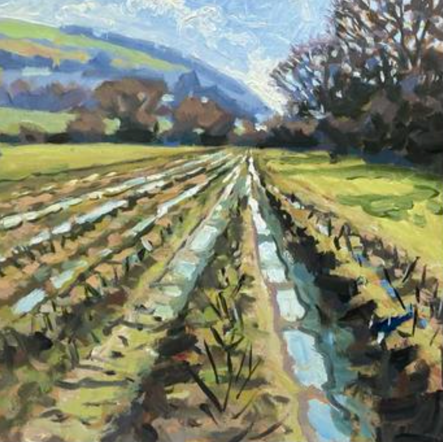 Rob Adams :The Furrow