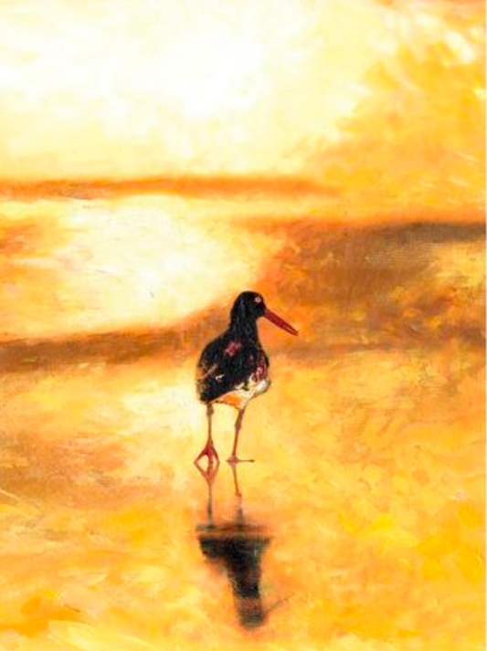 Cliff Towler : Oystercatcher