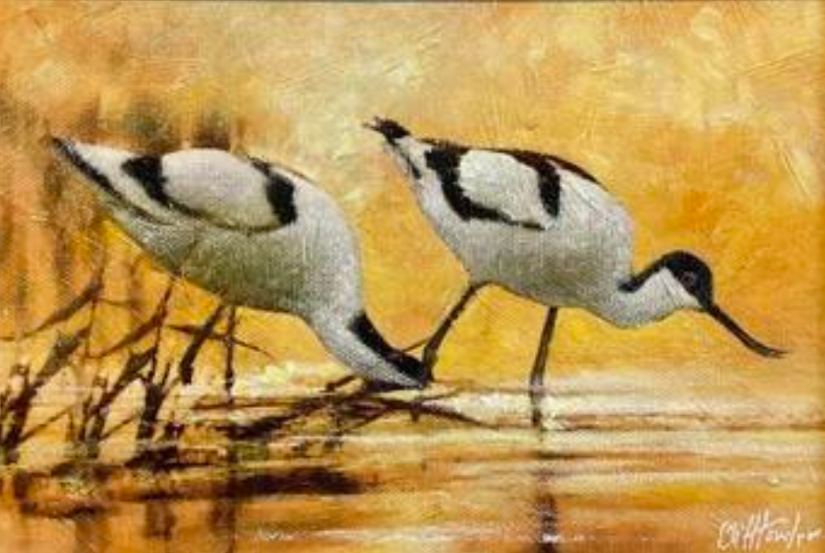 Cliff Towler : Two avocets at sunset