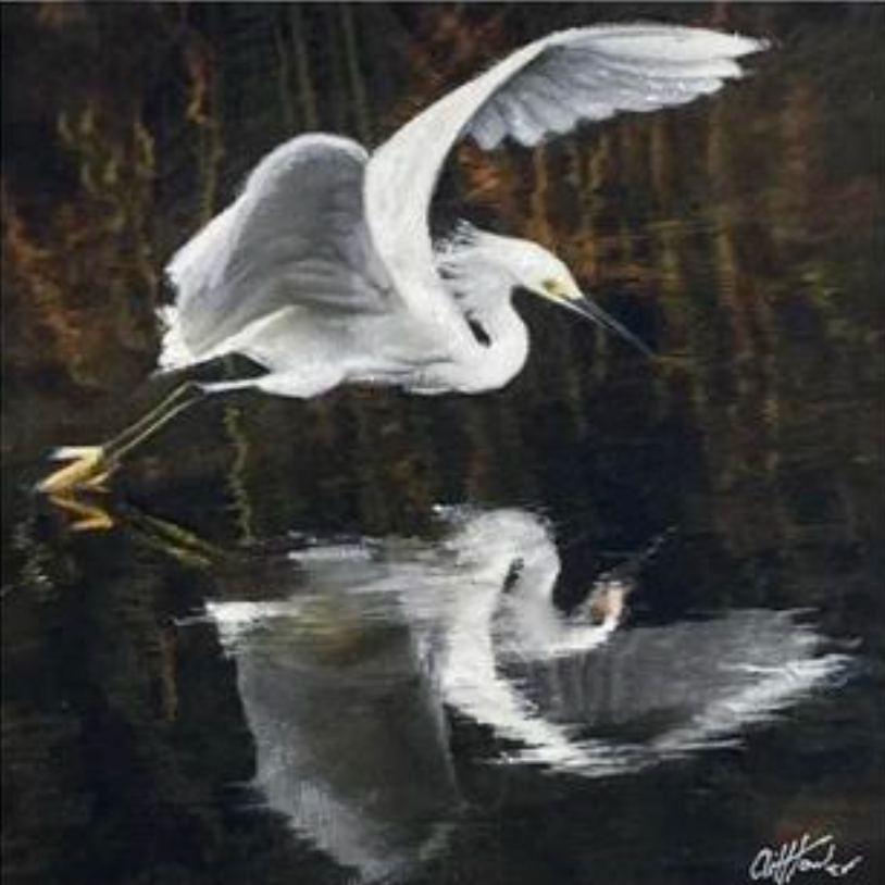 Cliff Towler : Egret reflection