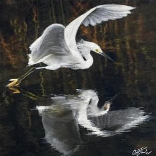 Cliff Towler : Egret reflection