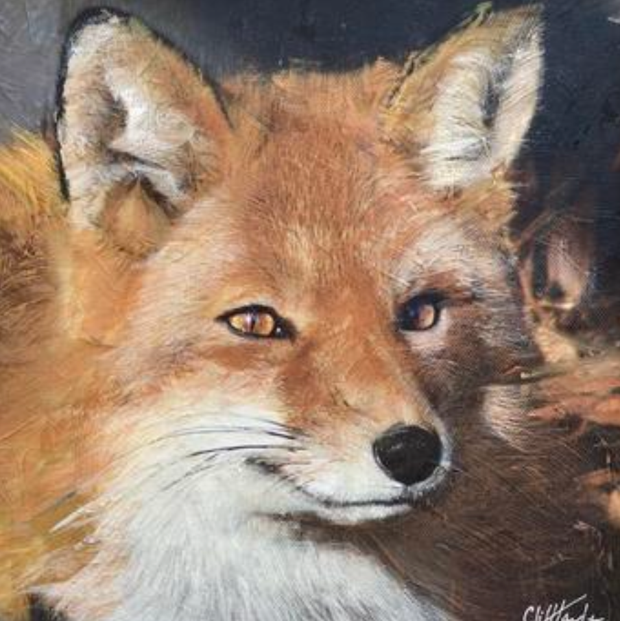 Cliff Towler :Mr Fox