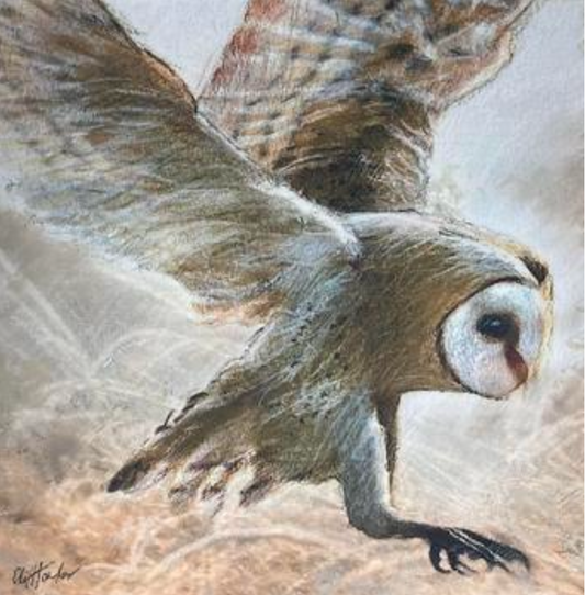 Cliff Towler : Barn owl landing