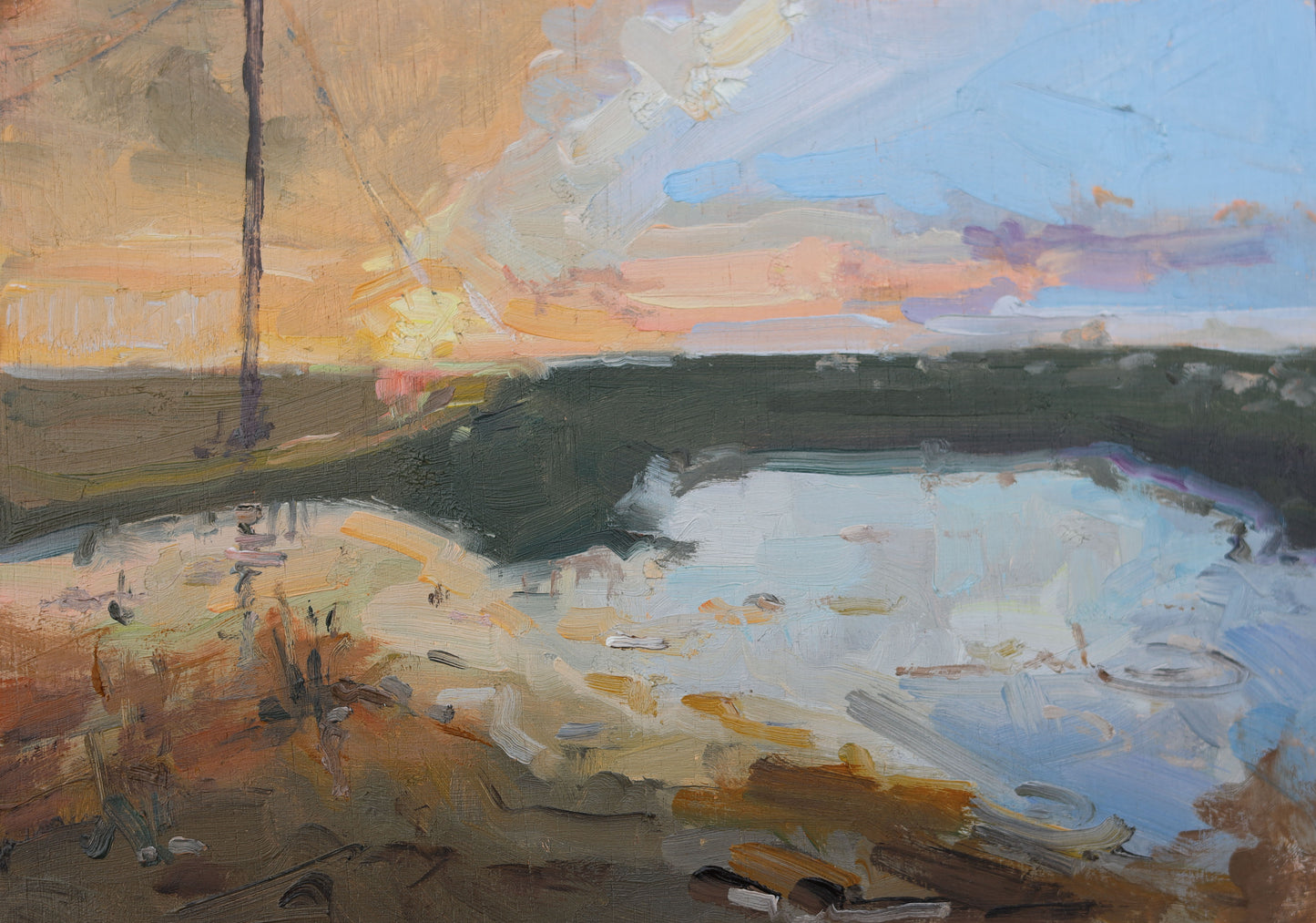 Claire Tozer :Setting sun on flooded sheep field
