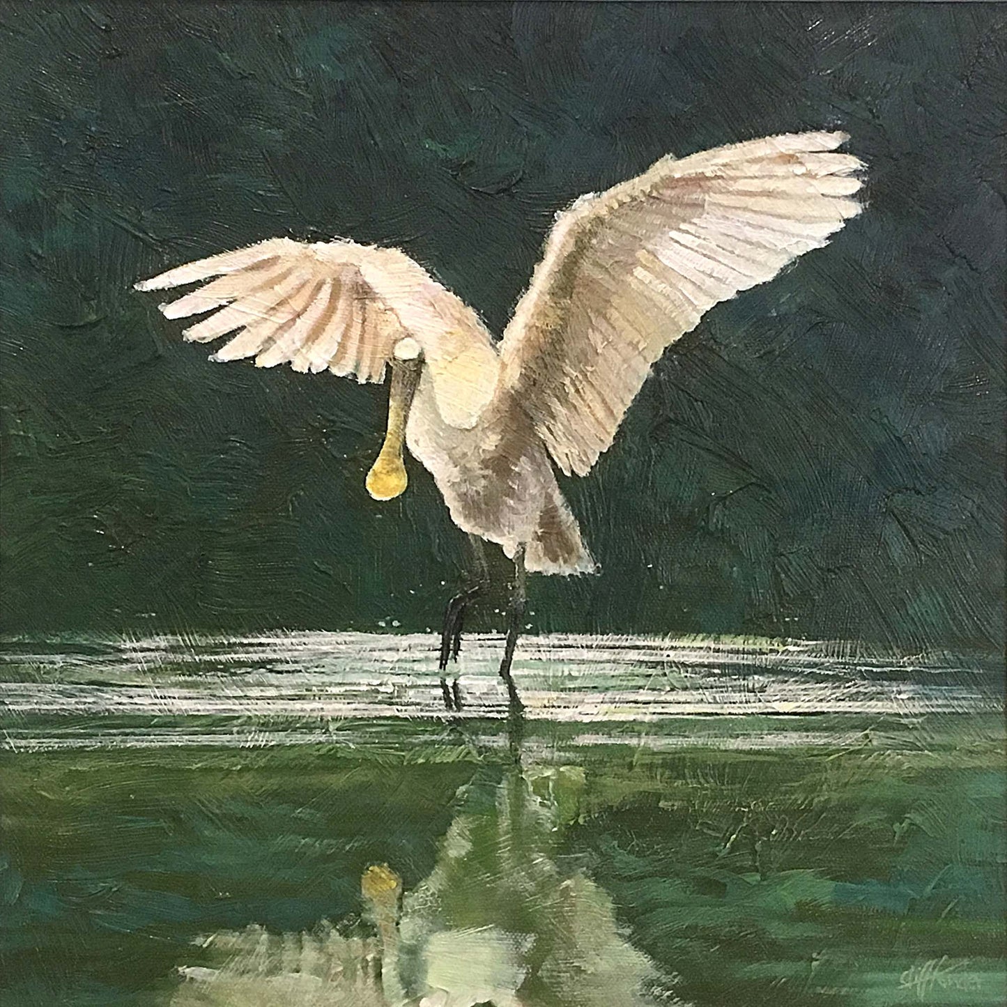 Spoonbill in Poole Harbour