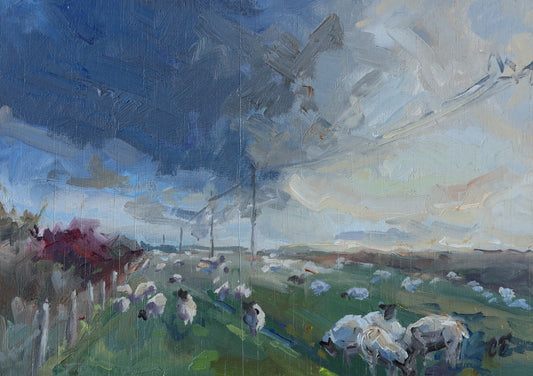 Claire Tozer :Sundown Sheep