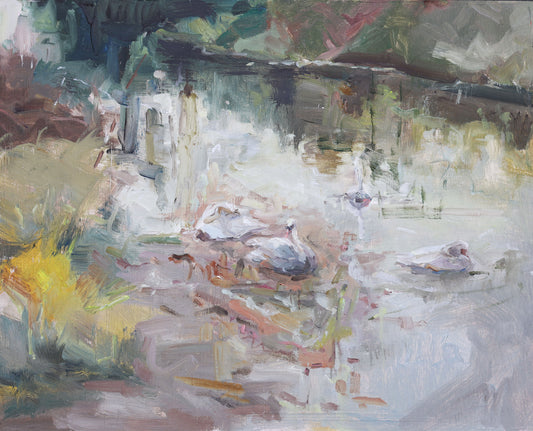 Claire Tozer :Swans on the Stour