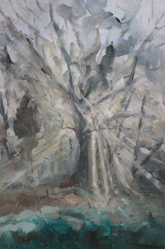 Claire Tozer : Winter’s morning light