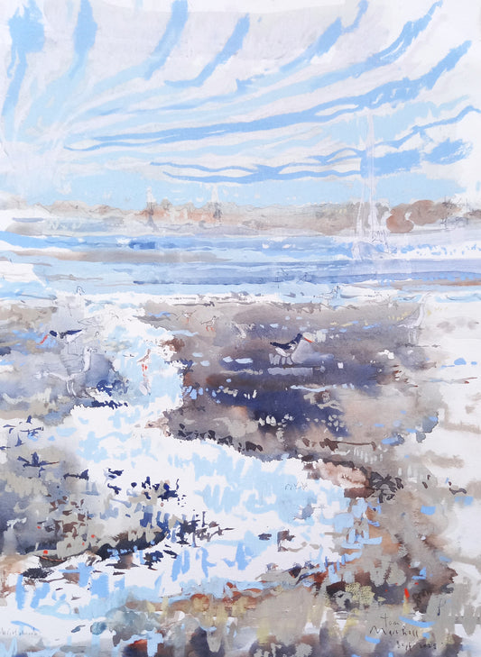 Tom Marshall- Sea of Birds