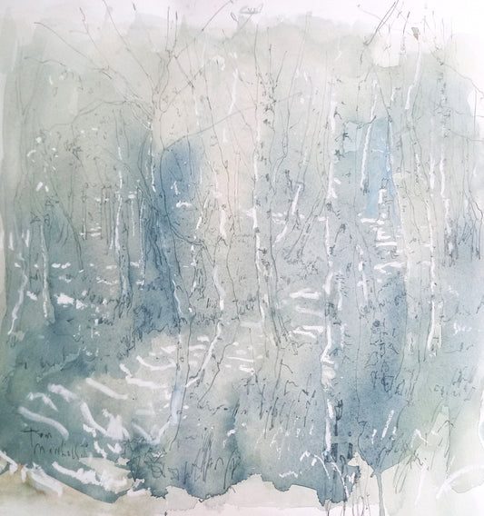 Tom Marshall- Pathways Among the Silver Birch Trees